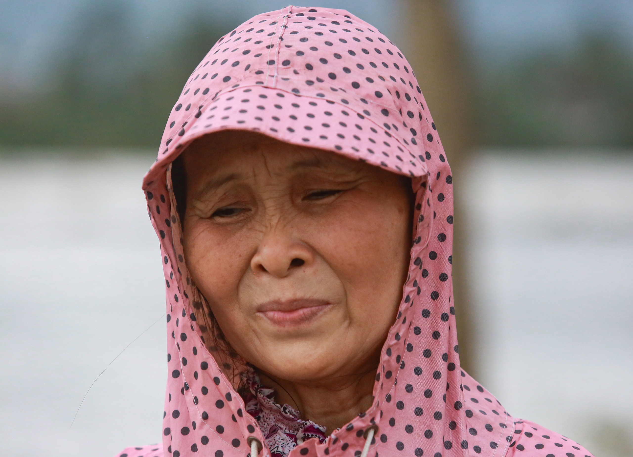 Phú Yên - Ảnh 14.