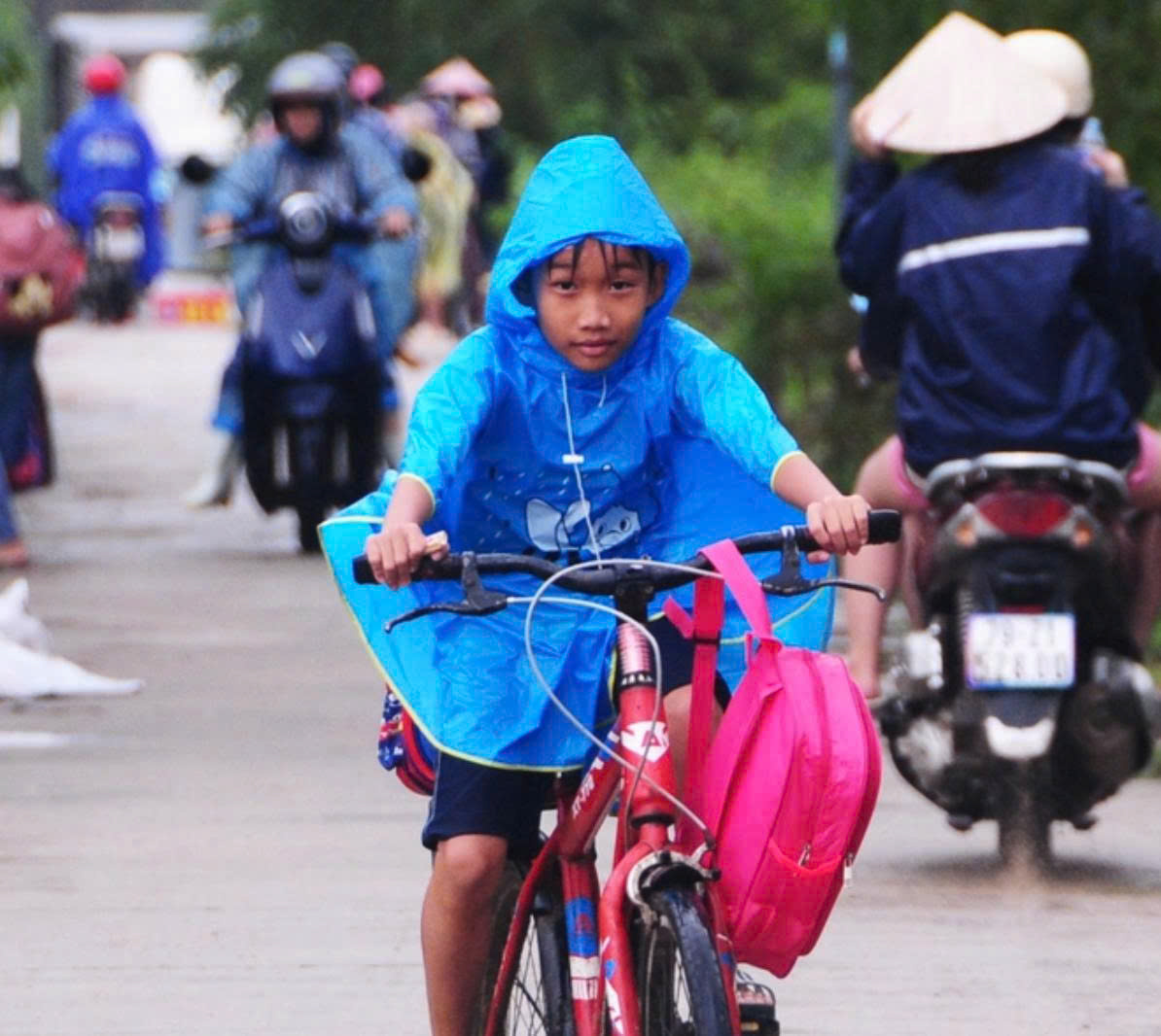 Bộ Giáo dục và Đào tạo cấp miễn phí toàn bộ sách giáo khoa cho học sinh vùng lũ - Ảnh 1.