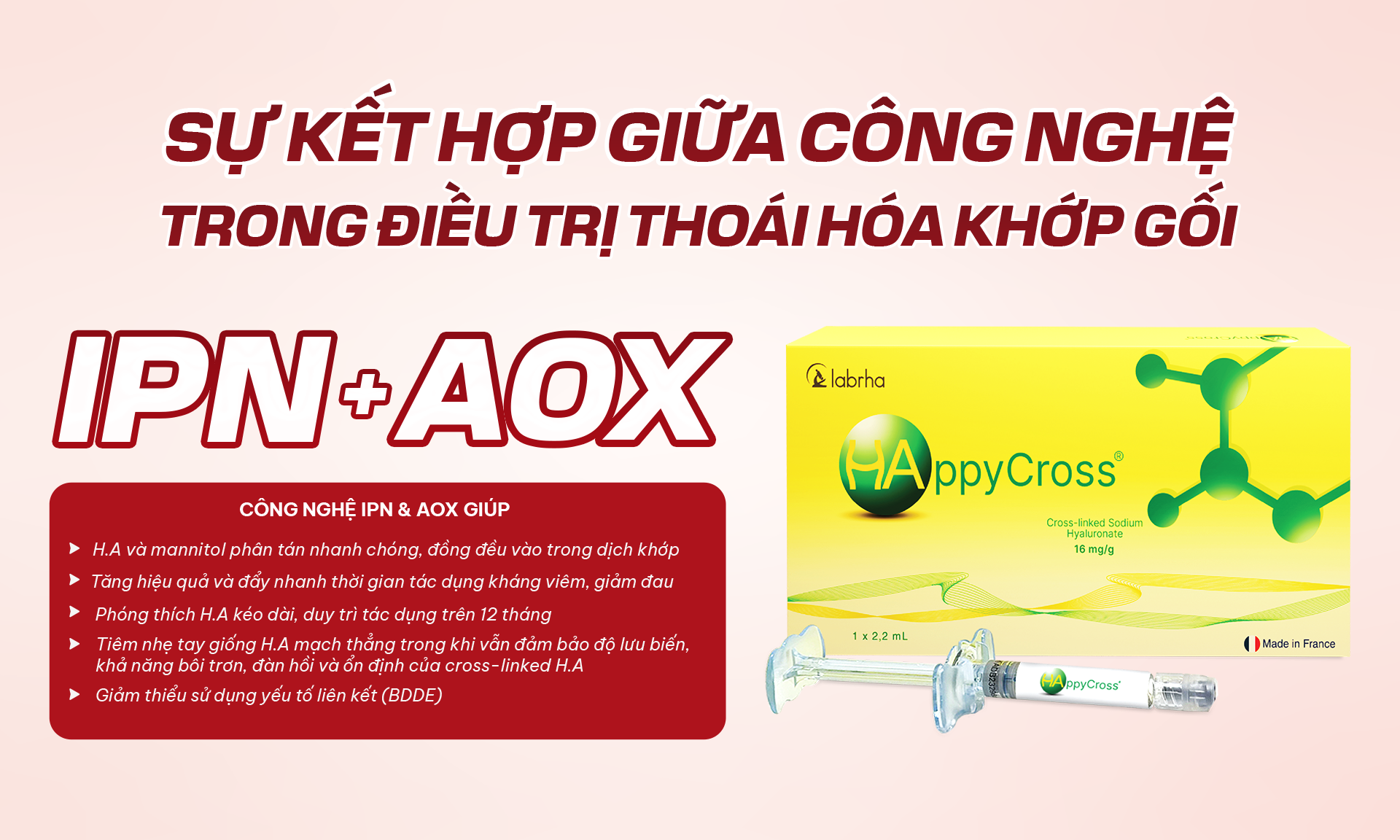 HappyCross - Ảnh 2.