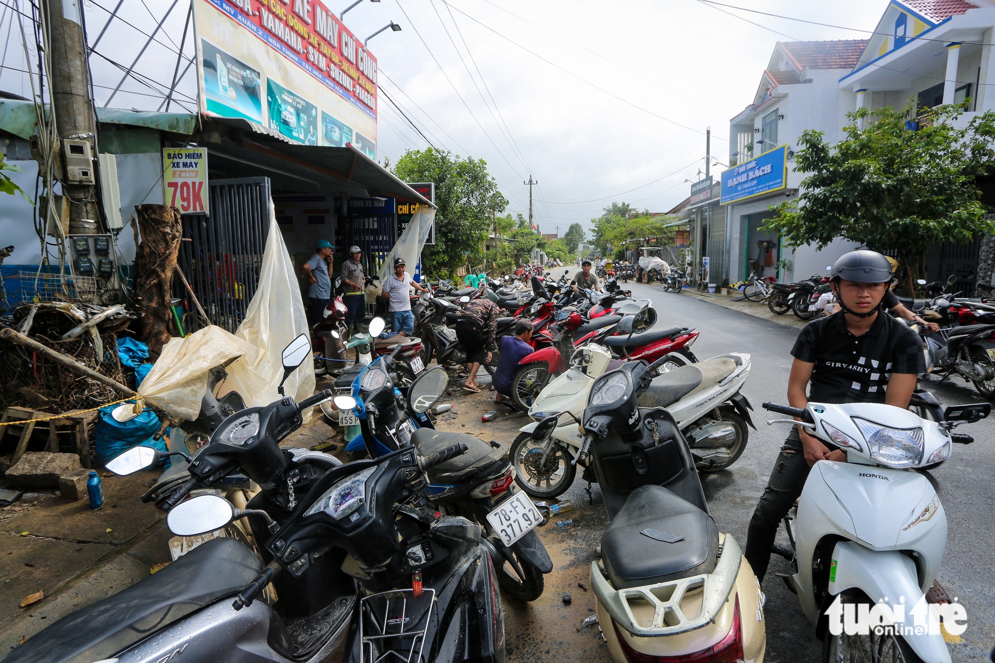 Phú Yên - Ảnh 9.