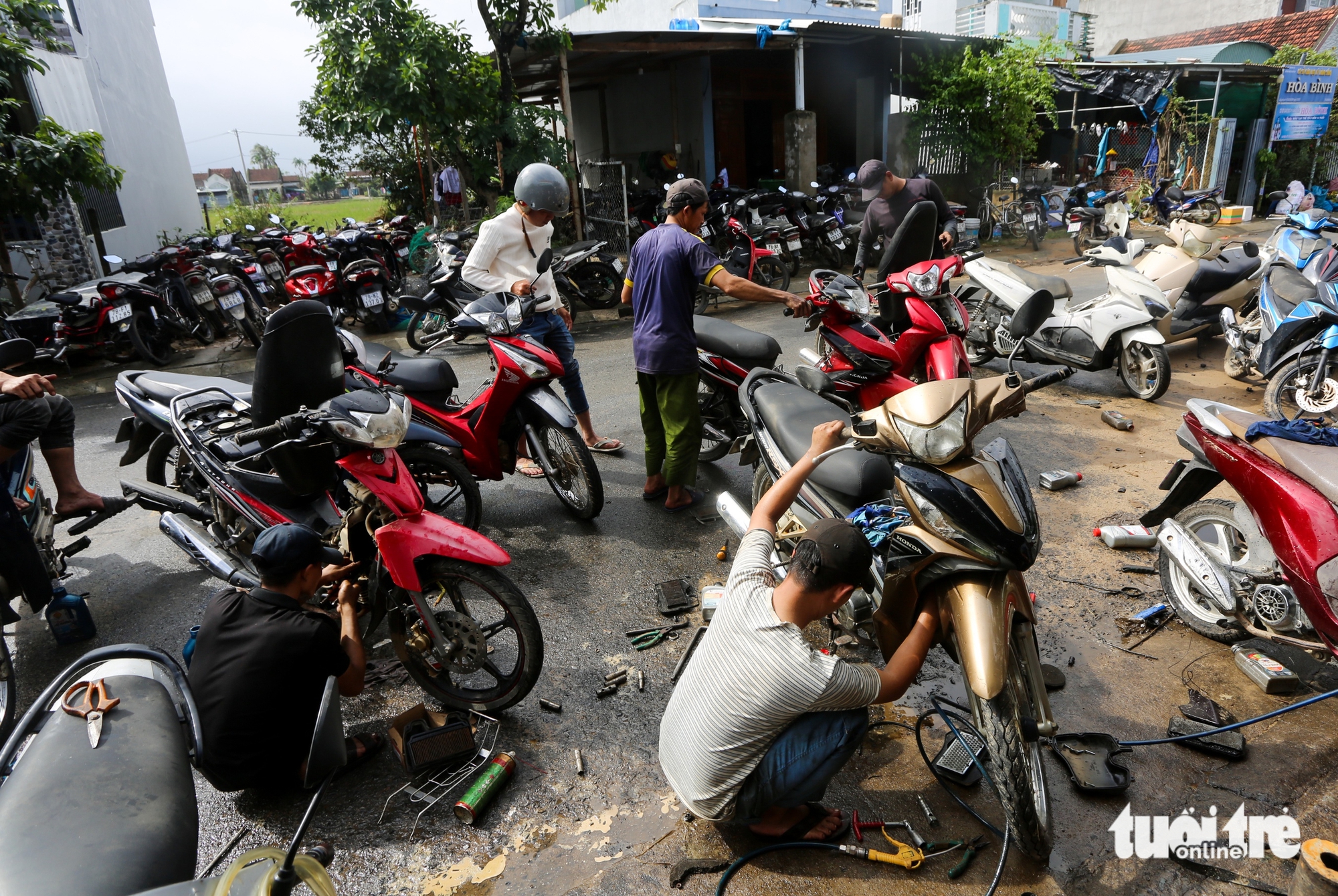 Phú Yên - Ảnh 14.