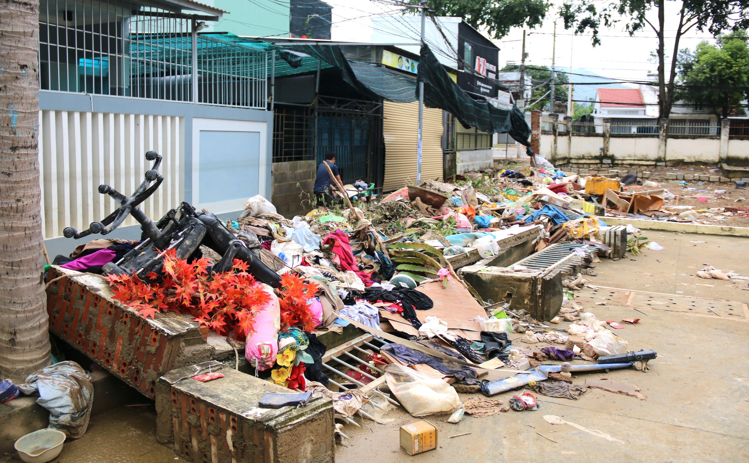 Khánh Hòa - Ảnh 4.