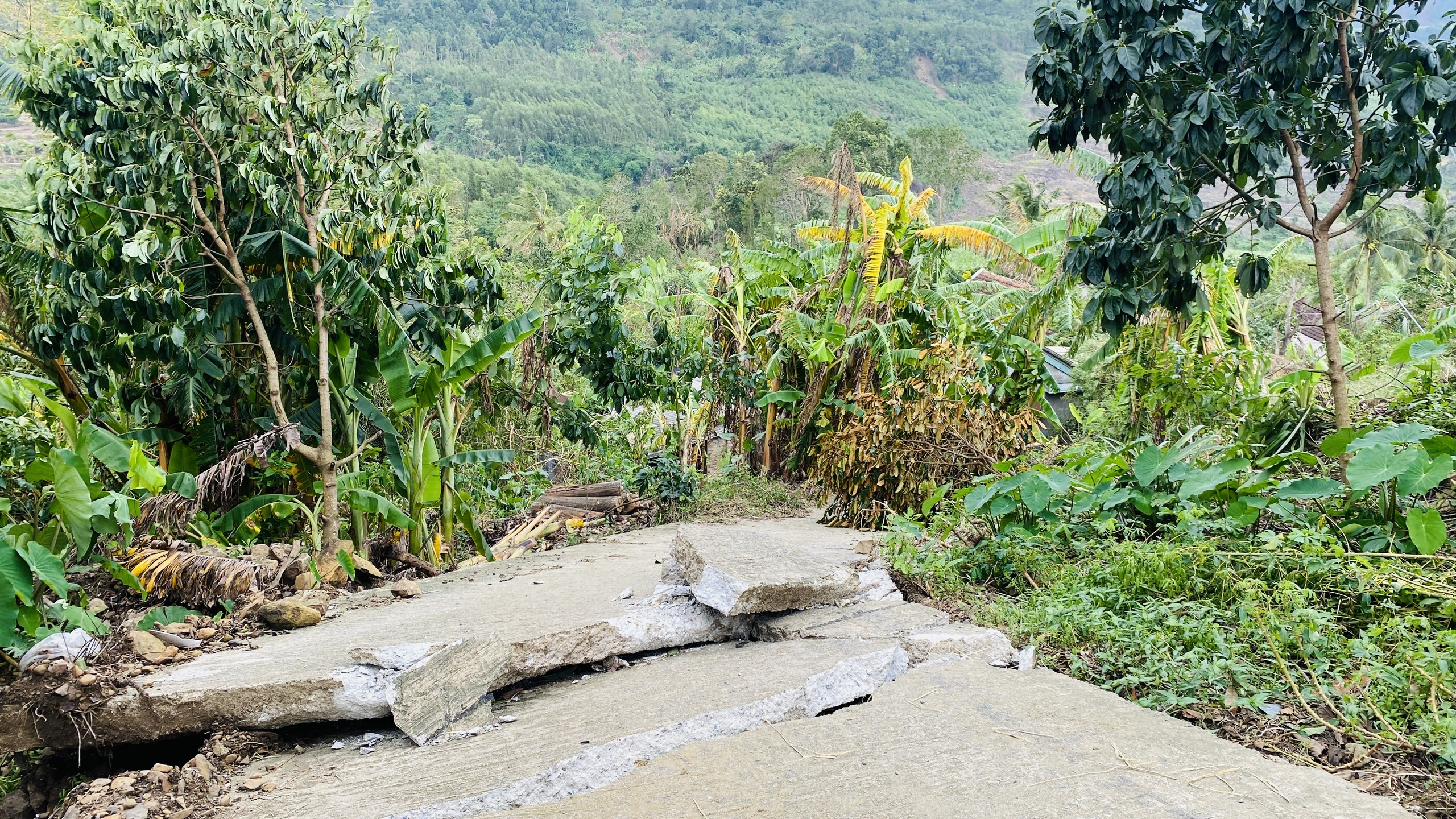 Phú Yên - Ảnh 10.