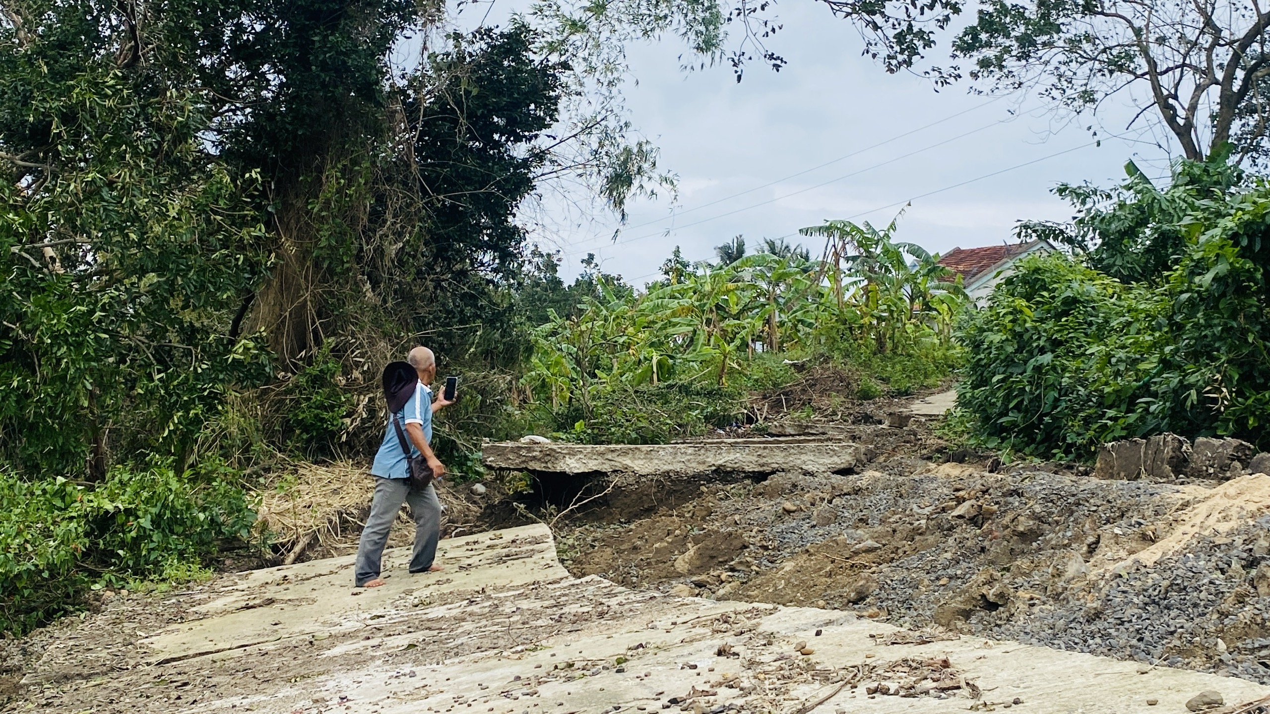 Phú Yên - Ảnh 17.