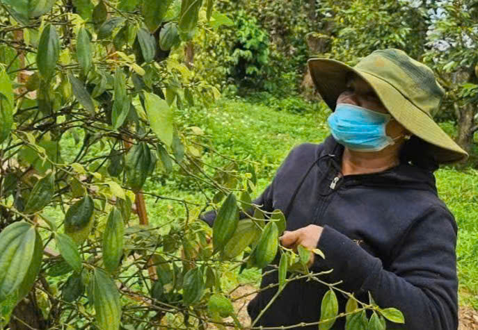 thuế giá trị gia tăng - Ảnh 1.