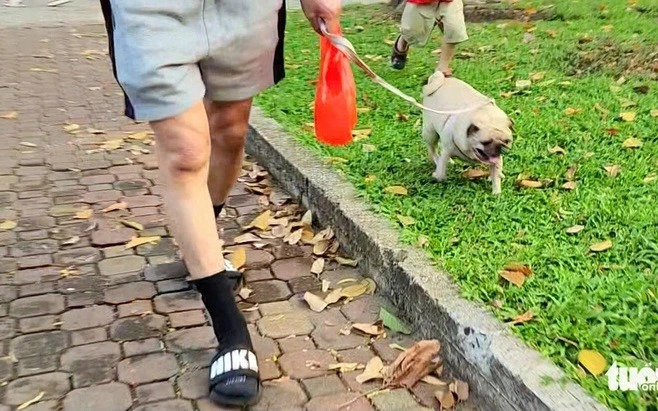 Not my dog: Rabies, pets, cultural boundaries in Vietnam, Singapore- Ảnh 1. Not my dog: Rabies, pets, cultural boundaries in Vietnam, Singapore- Ảnh 1.