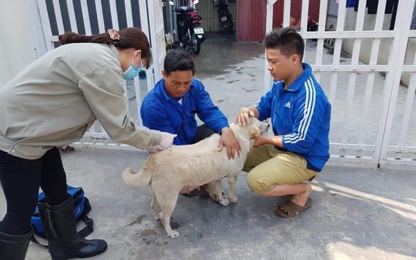 Bị chó cắn từ tháng 6-2025, người đàn ông ở Tây Ninh vừa tử vong nghi do bệnh dại - Ảnh 1.