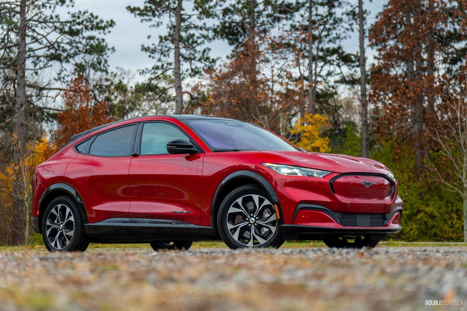 ghế trẻ em - Ảnh 37.