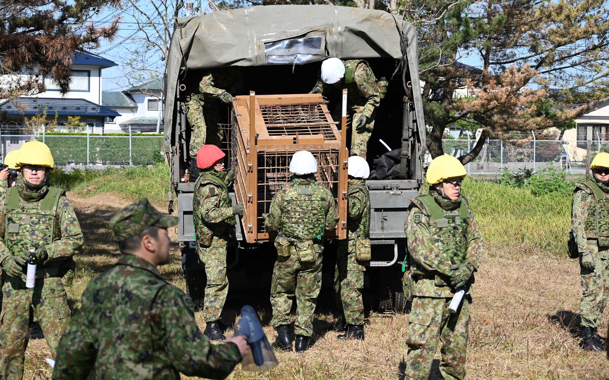 Tokushima firm develops bear repellent spray- Ảnh 2. Tokushima firm develops bear repellent spray- Ảnh 2.