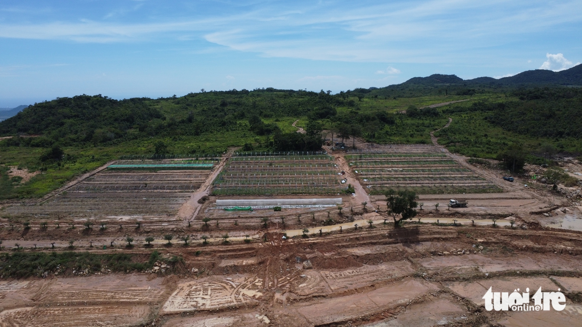 Tuy Phong - Ảnh 5.