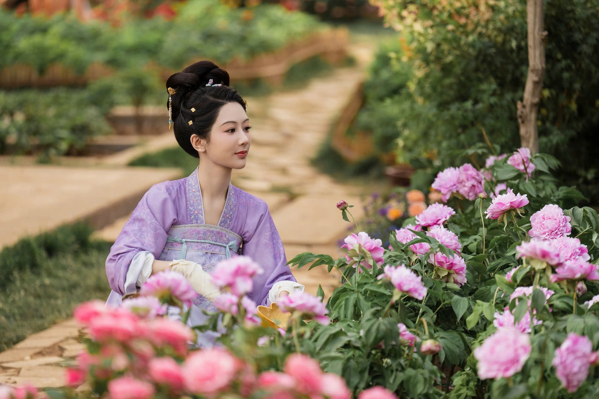 Hoa ngữ - Ảnh 1.