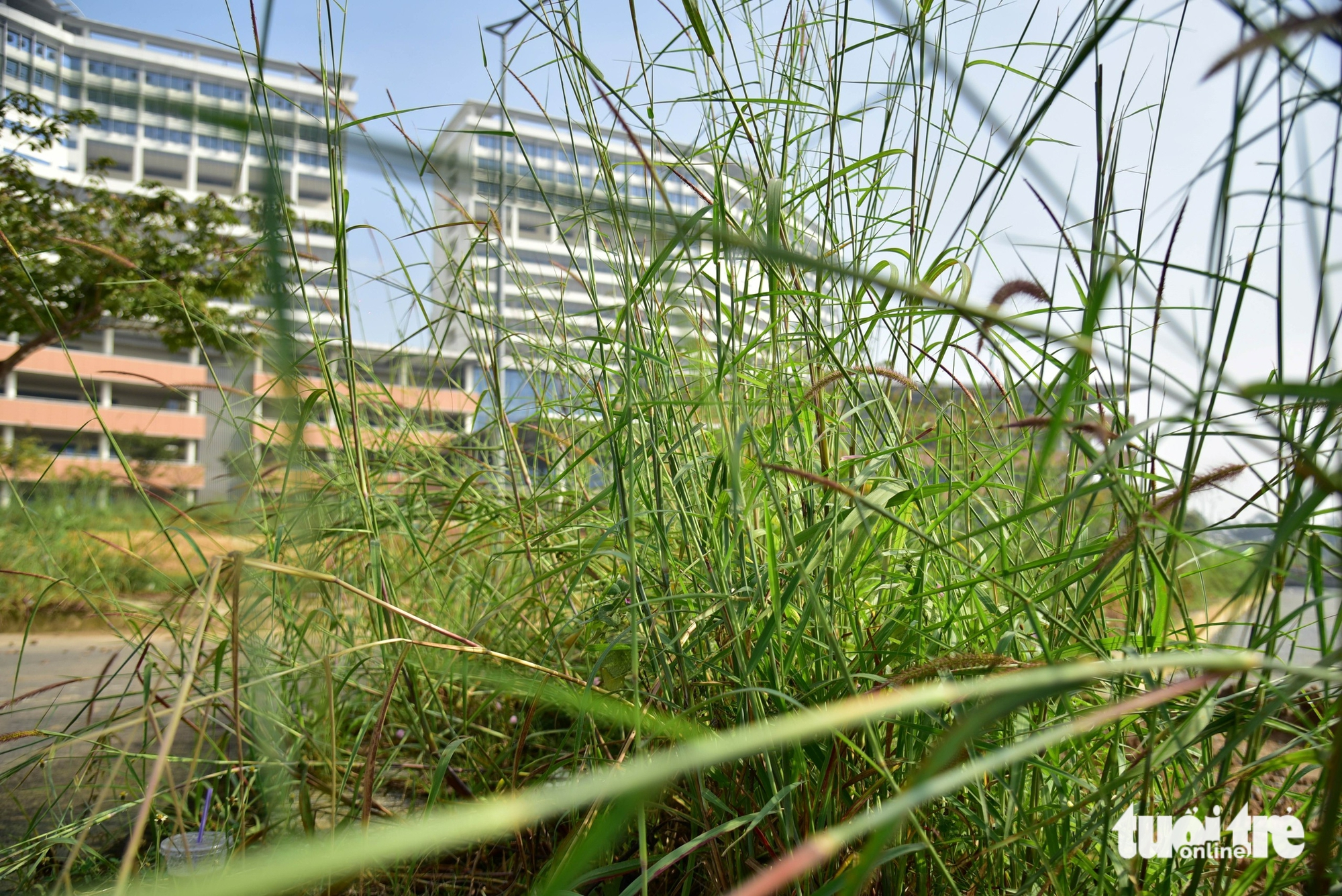 Decade-long delay leaves $171mn Ho Chi Minh City hospital unfinished- Ảnh 10.