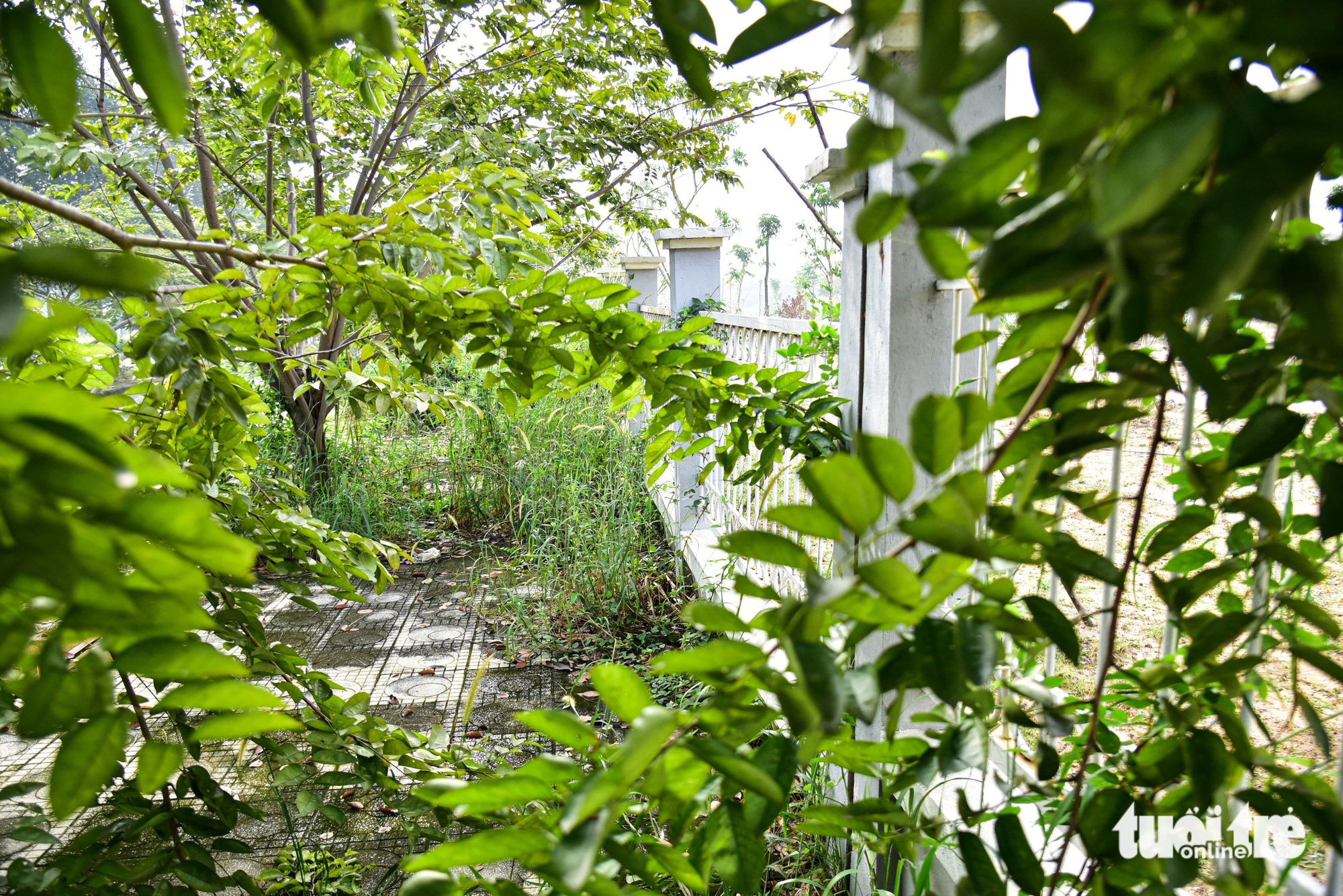 Decade-long delay leaves $171mn Ho Chi Minh City hospital unfinished- Ảnh 9.