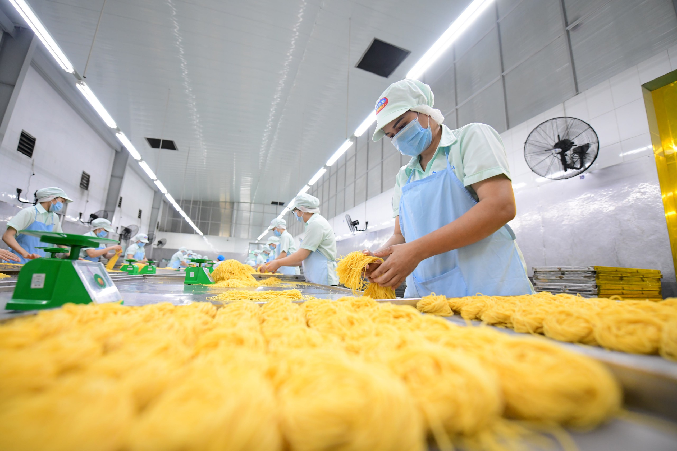 văn kiện - Ảnh 1.