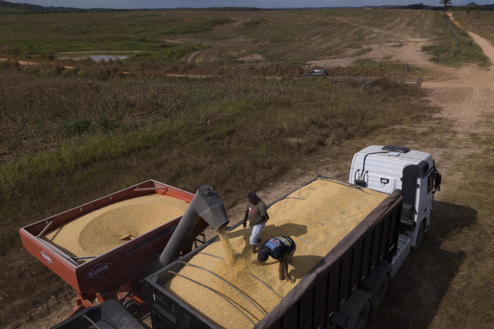 Who is setting fire to the Amazon?- Ảnh 11. Who is setting fire to the Amazon?- Ảnh 11.