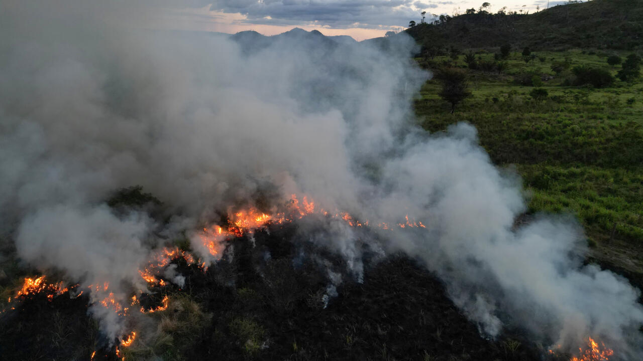 Who is setting fire to the Amazon?- Ảnh 1. Who is setting fire to the Amazon?- Ảnh 1.