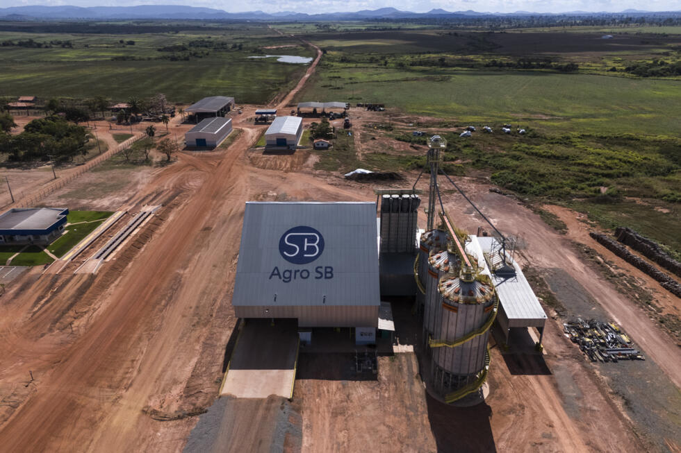 Who is setting fire to the Amazon?- Ảnh 8. Who is setting fire to the Amazon?- Ảnh 8.