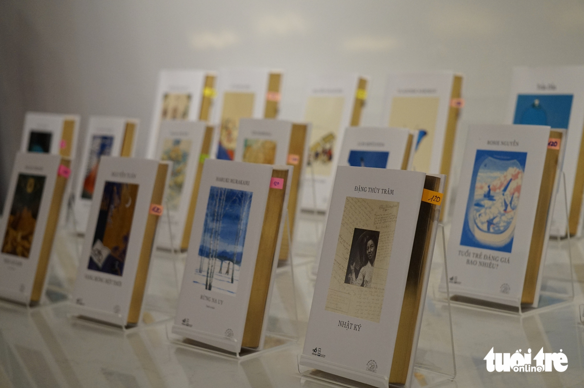 20 năm, Nhật ký Đặng Thùy Trâm vẫn là cuốn sách giữ kỷ lục xuất bản - Ảnh 1. Đặng Thùy Trâm - Ảnh 1.