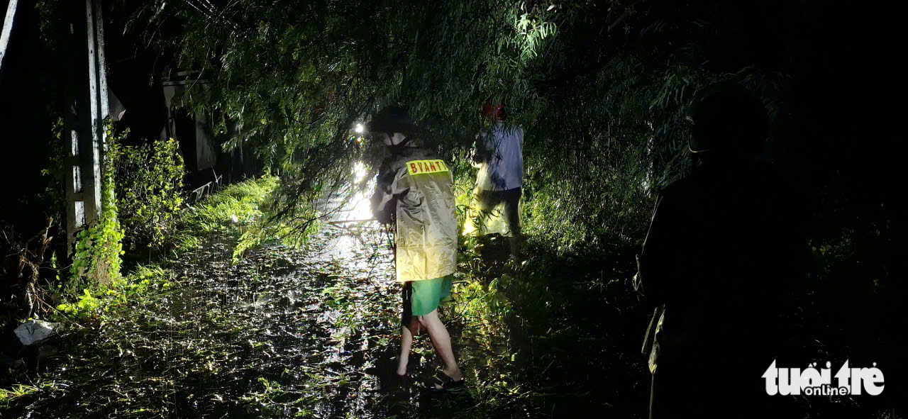 Storm Kalmaegi causes severe destruction across Vietnam’s Dak Lak, Gia Lai- Ảnh 4.