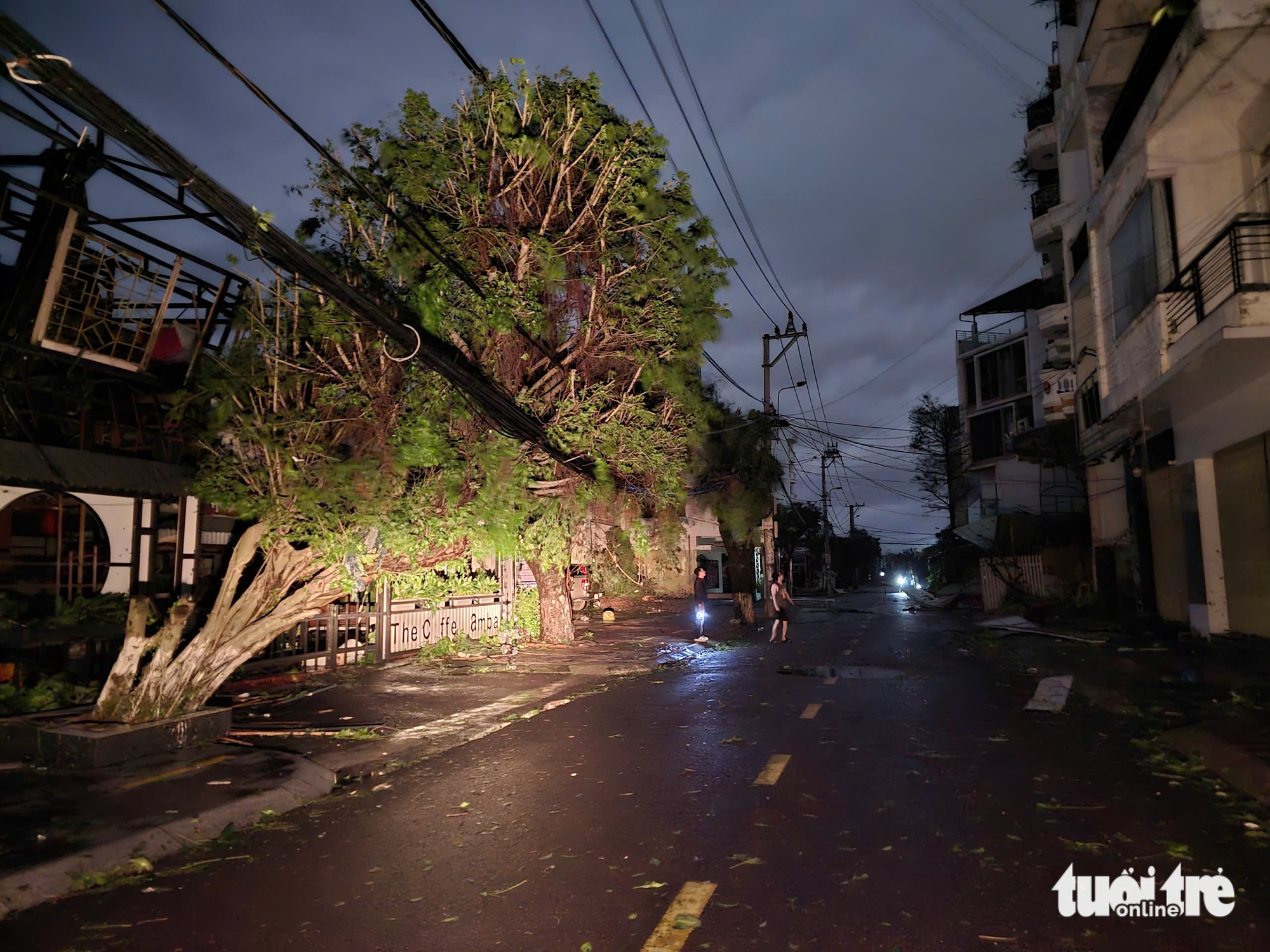 Storm Kalmaegi causes severe destruction across Vietnam’s Dak Lak, Gia Lai- Ảnh 7.