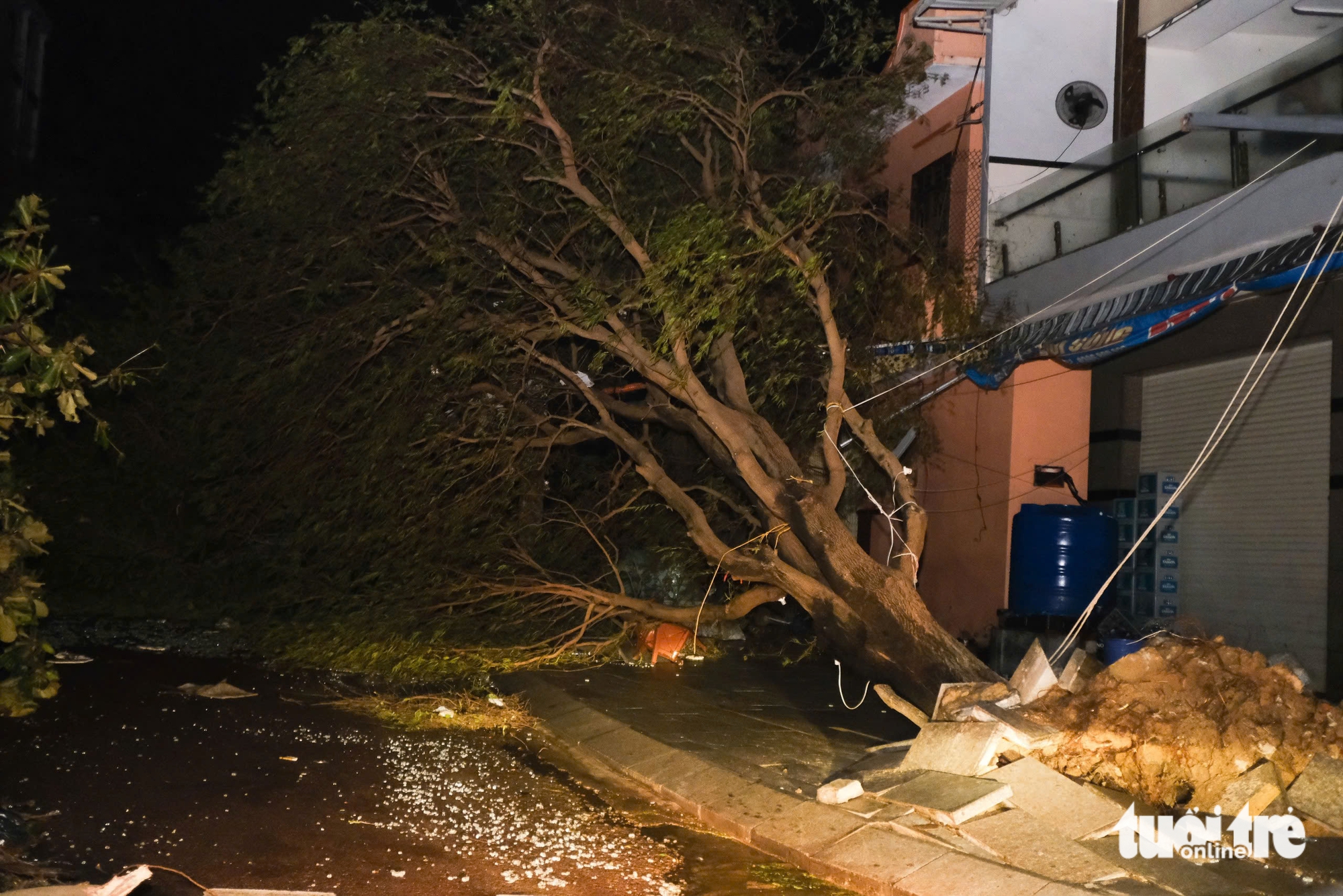 Storm Kalmaegi causes severe destruction across Vietnam’s Dak Lak, Gia Lai- Ảnh 12.