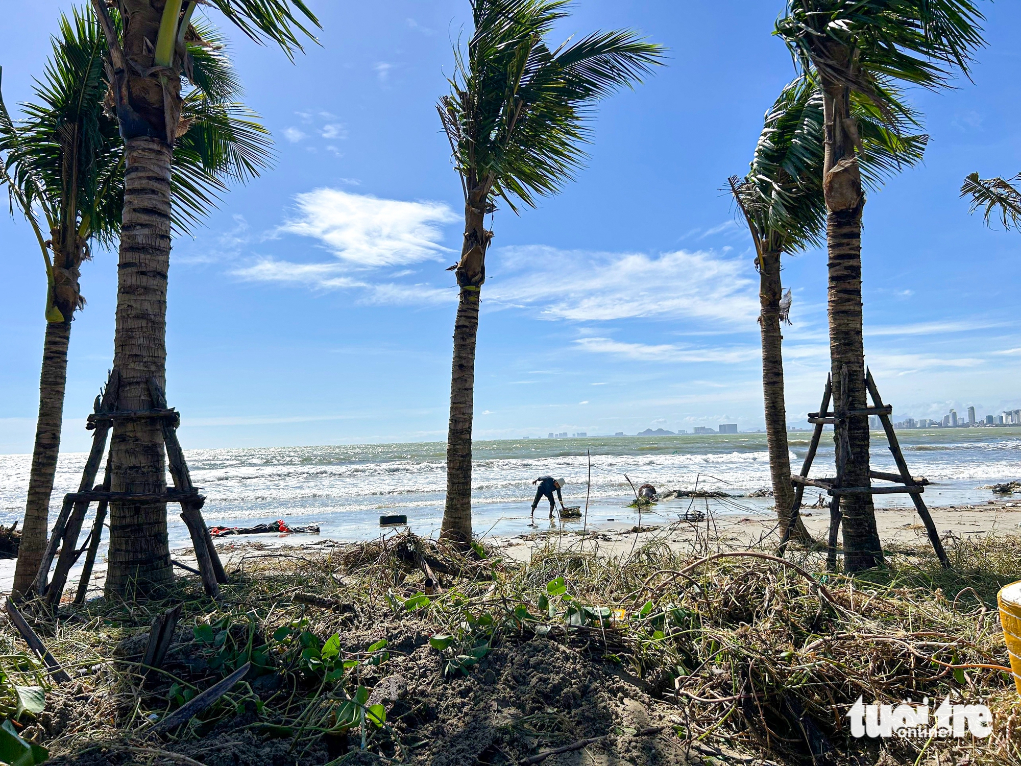 Đà Nẵng - Ảnh 7.