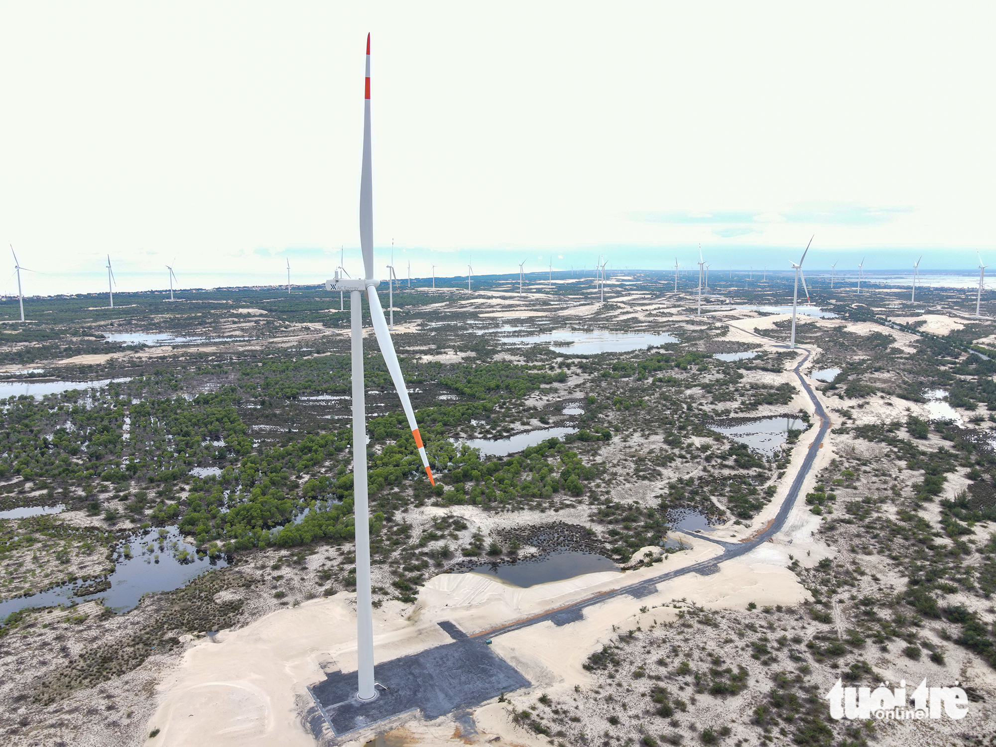 Vingroup quan tâm dự án điện gió 9.100 tỉ đồng tại Quảng Trị - Ảnh 1.