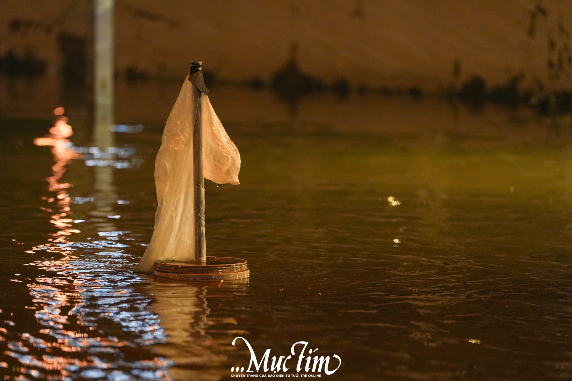 Triều cường đạt đỉnh, tuổi trẻ TP.HCM ra quân hỗ trợ người dân- Ảnh 13.