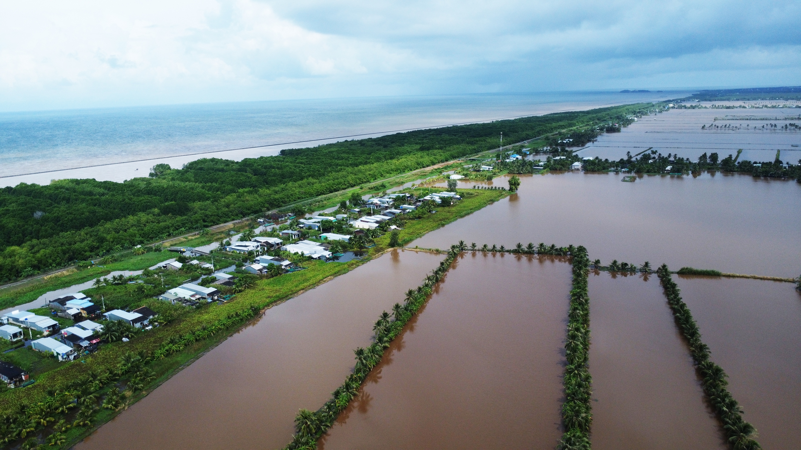 Coastal residents in southernmost Vietnam paddle boats on flooded roads despite not being in flood zone- Ảnh 7.