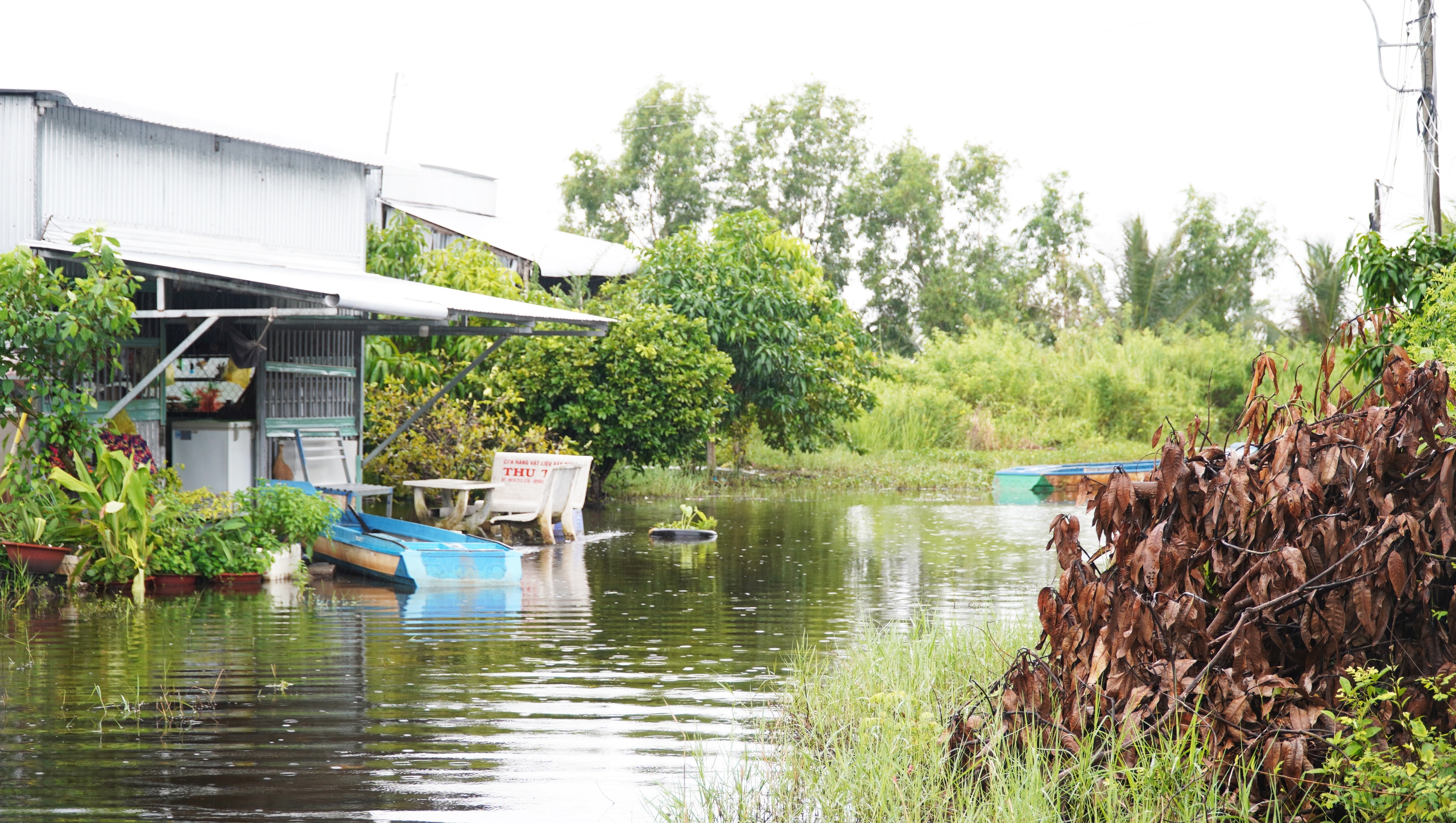 Coastal residents in southernmost Vietnam paddle boats on flooded roads despite not being in flood zone- Ảnh 6.