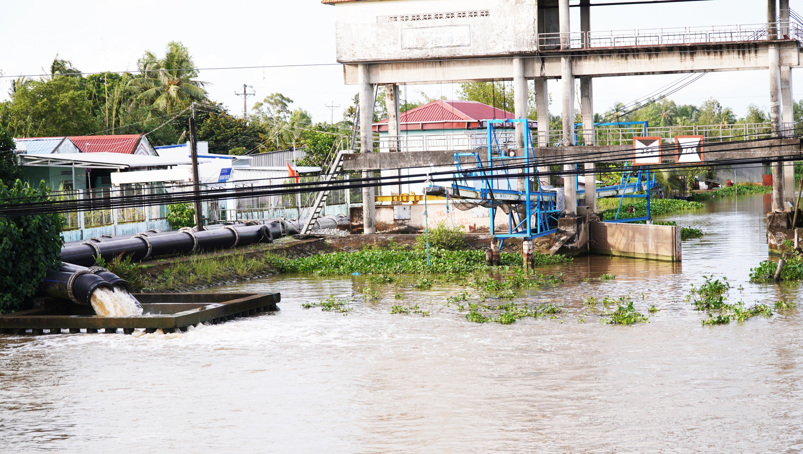 Coastal residents in southernmost Vietnam paddle boats on flooded roads despite not being in flood zone- Ảnh 9.