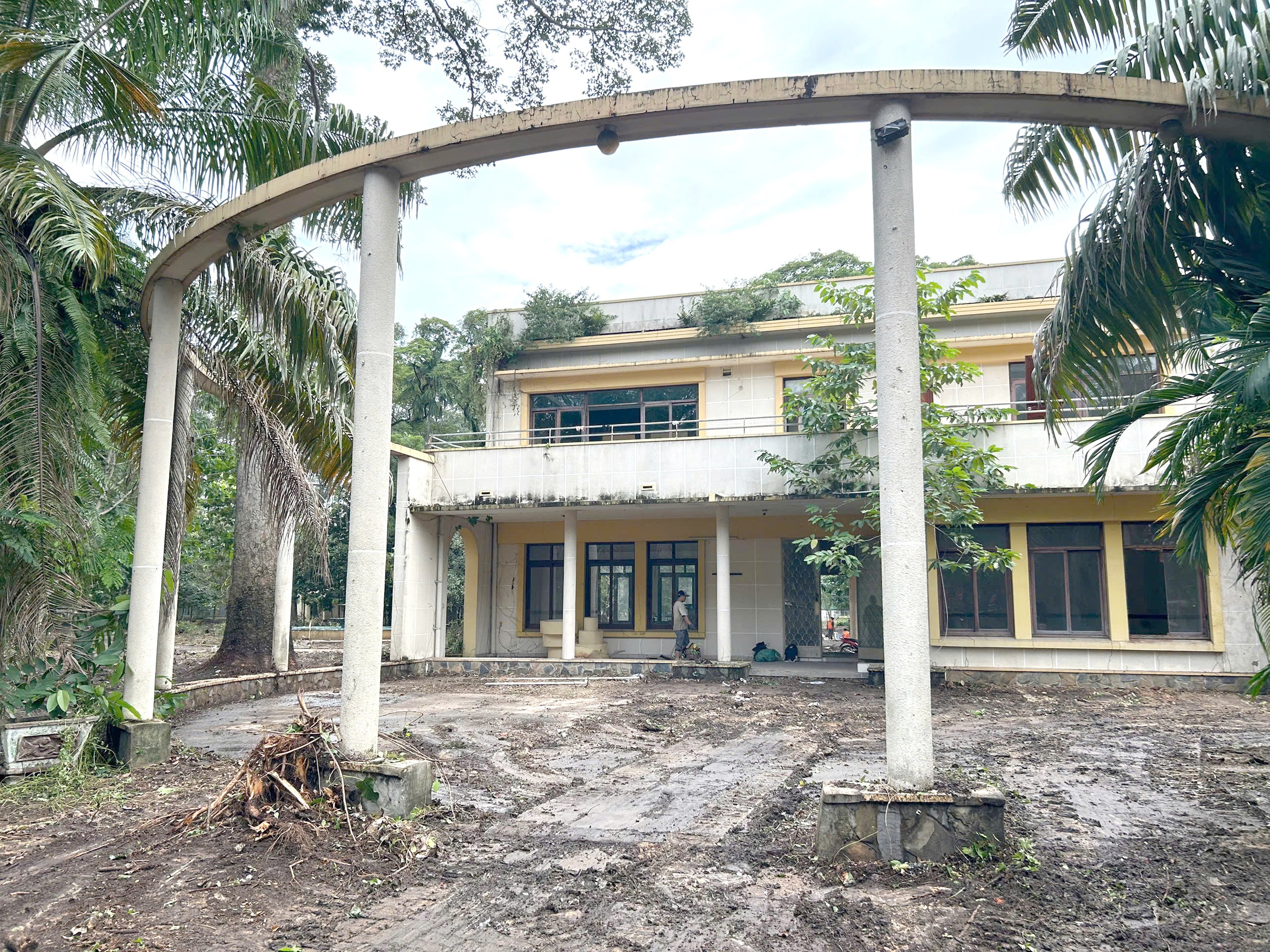 COVID -19 - Ảnh 1.