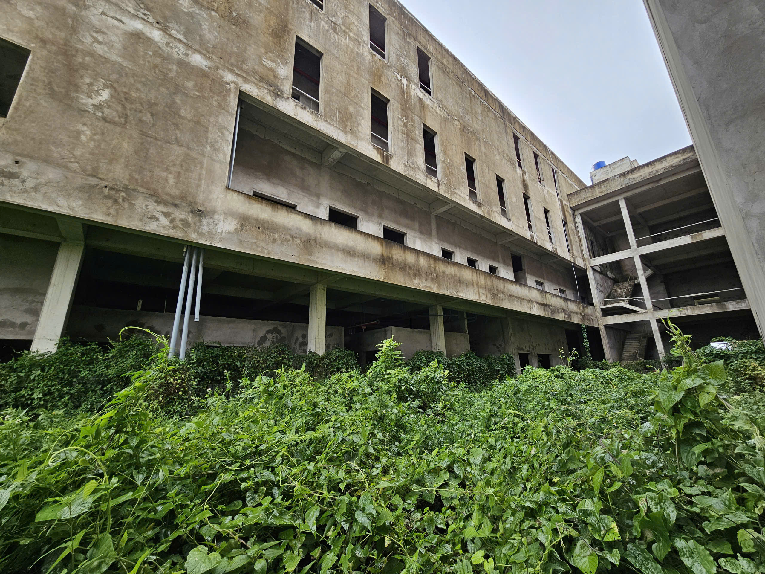 bệnh viện ung bướu - Ảnh 2.