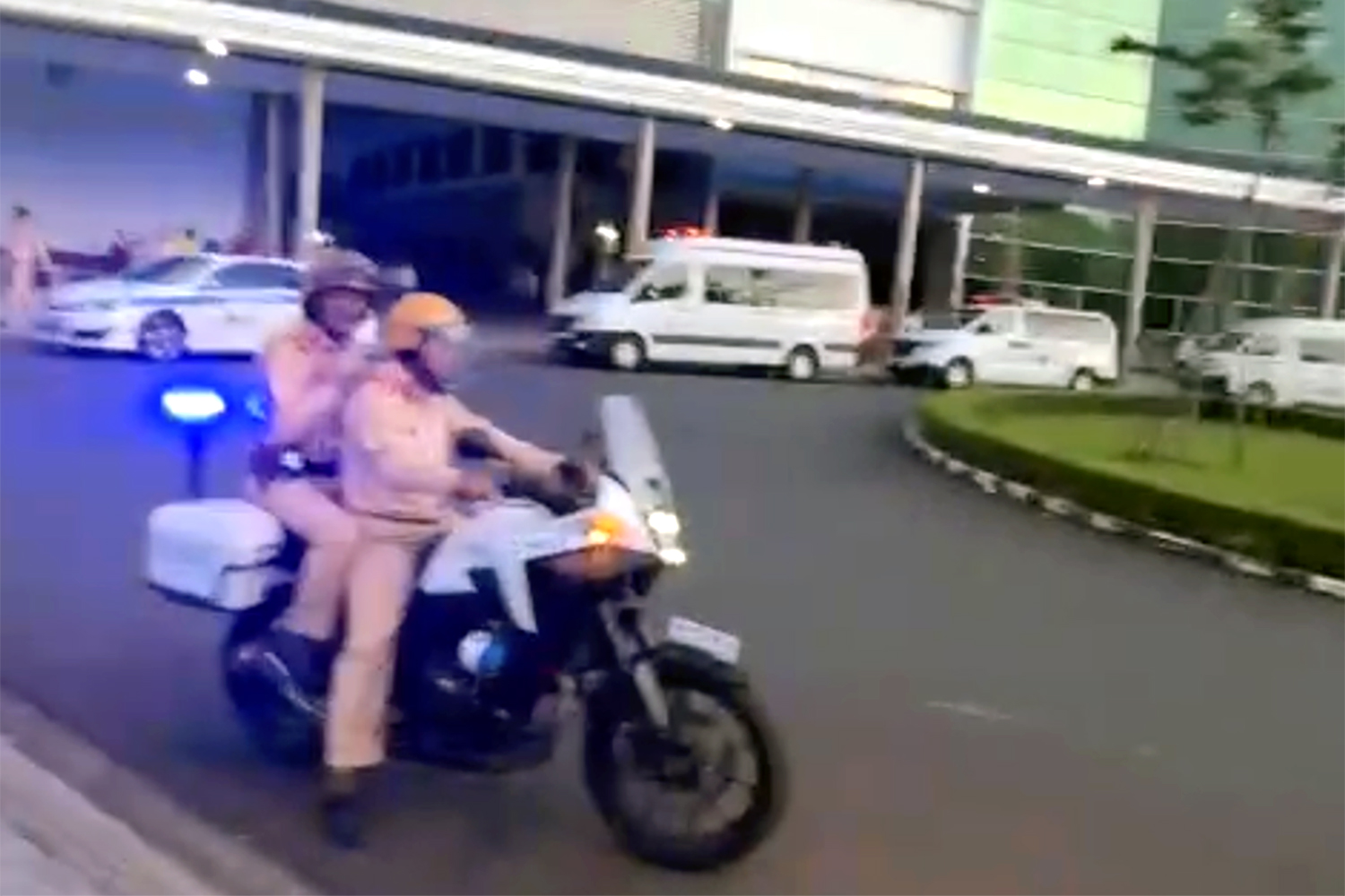 chết não - Ảnh 1.