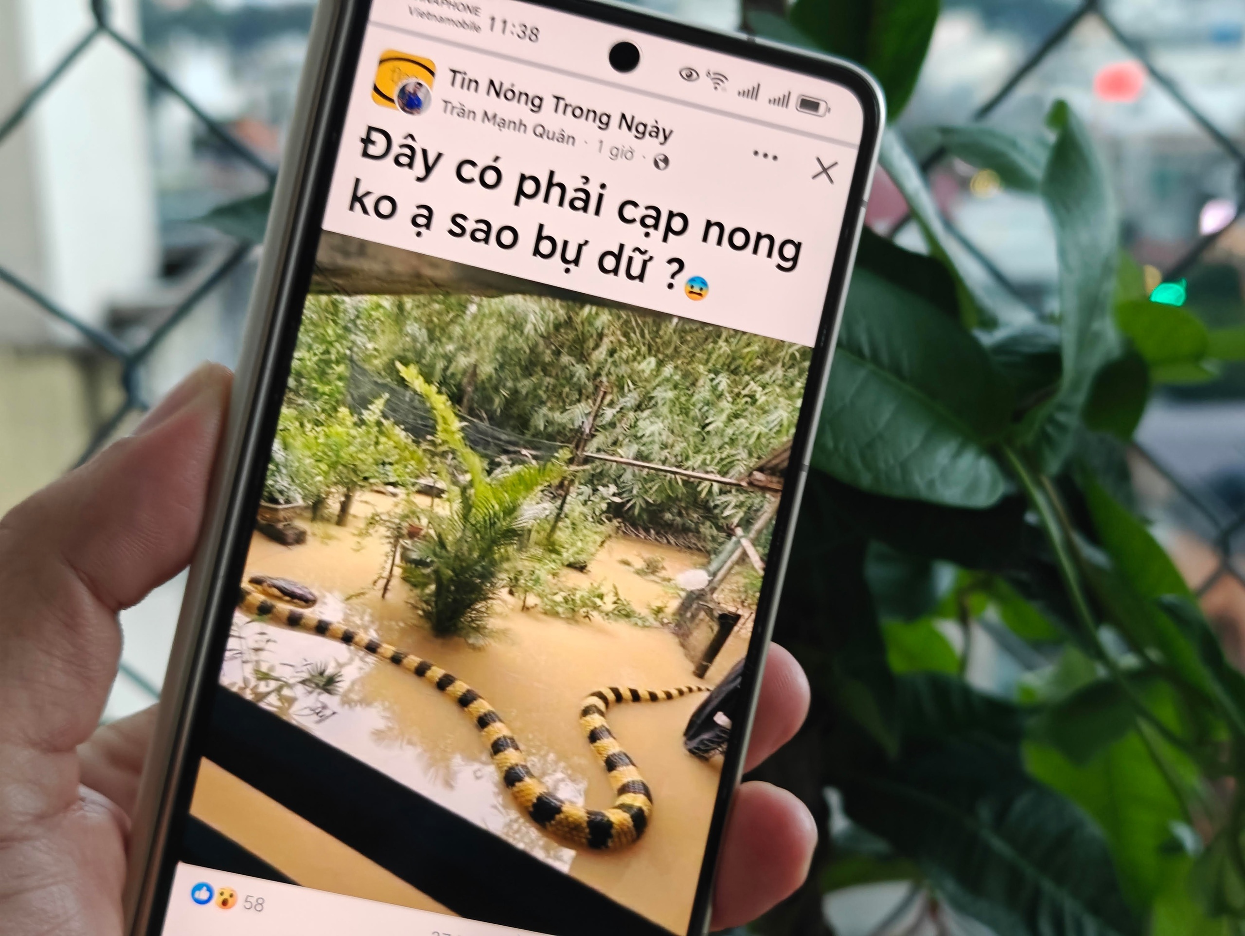 trí tuệ nhân tạo - Ảnh 1.