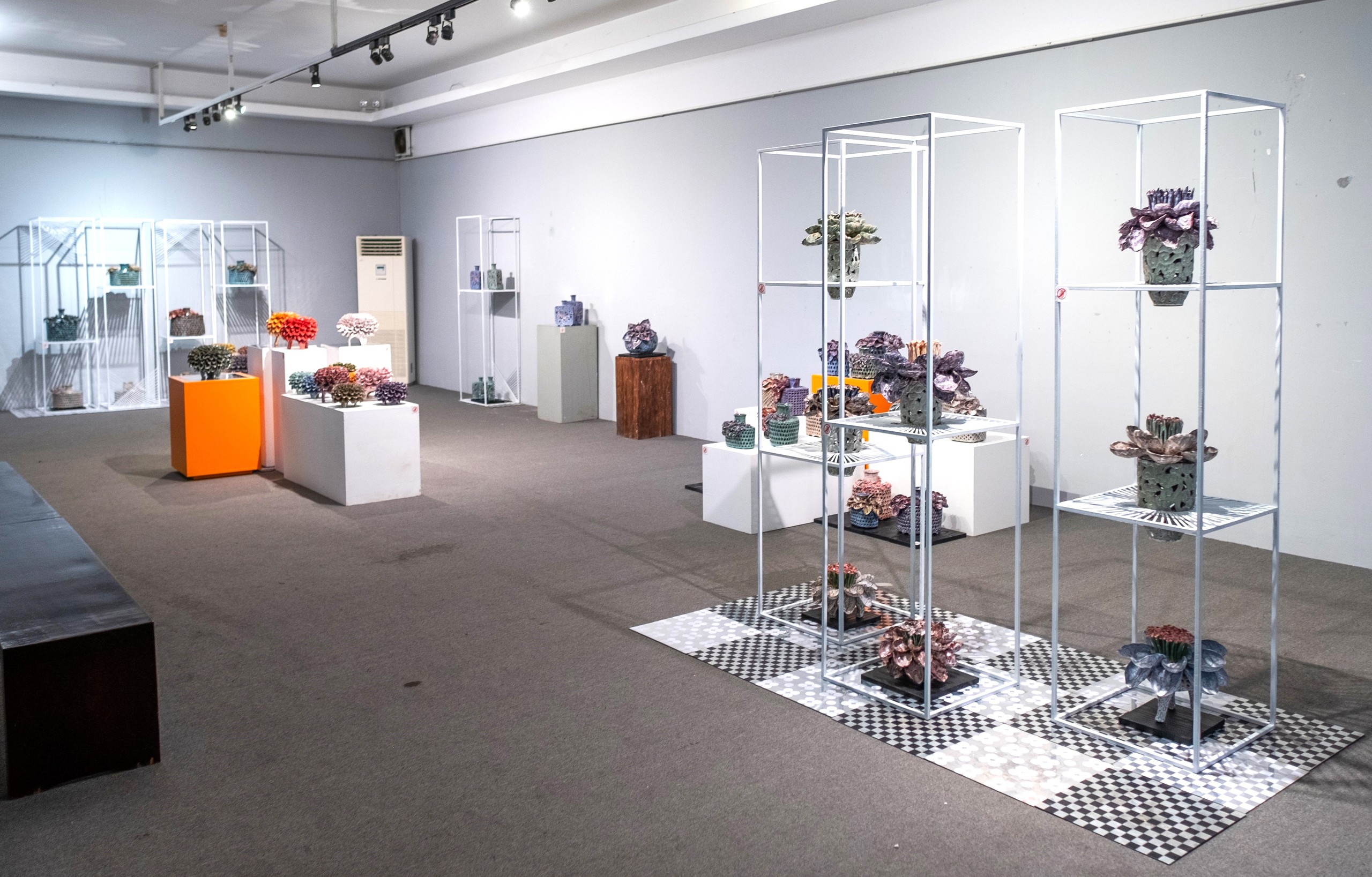 Khu vườn hạnh phúc - Ảnh 12.