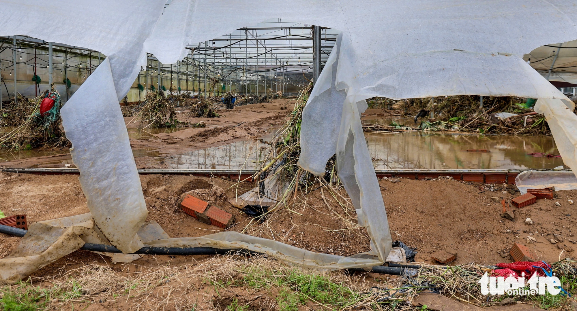 Xót xa hình ảnh vùng rau lớn nhất Lâm Đồng tan hoang sau lũ dữ - Ảnh 1.