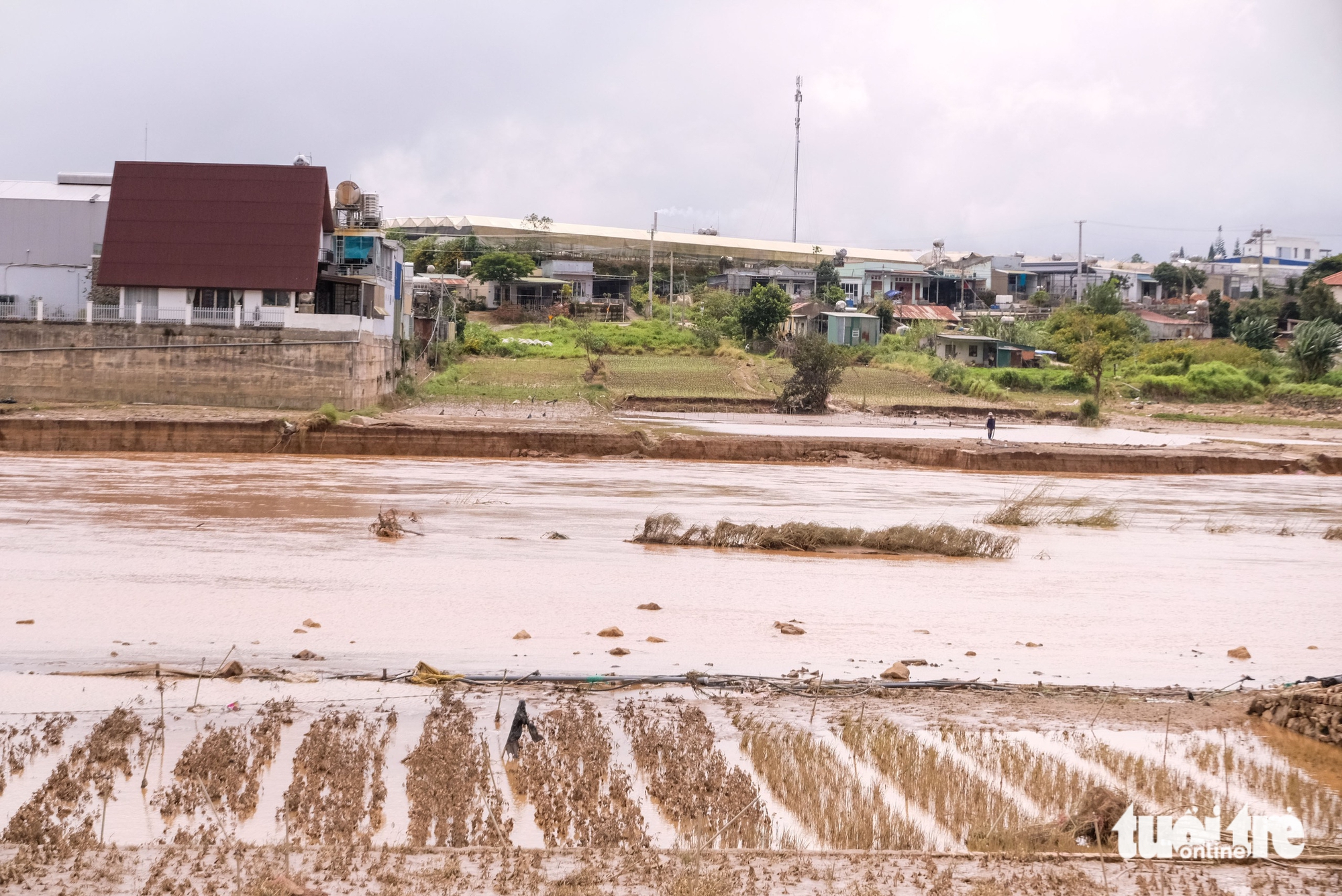 Xót xa hình ảnh vùng rau lớn nhất Lâm Đồng tan hoang sau lũ dữ - Ảnh 5.