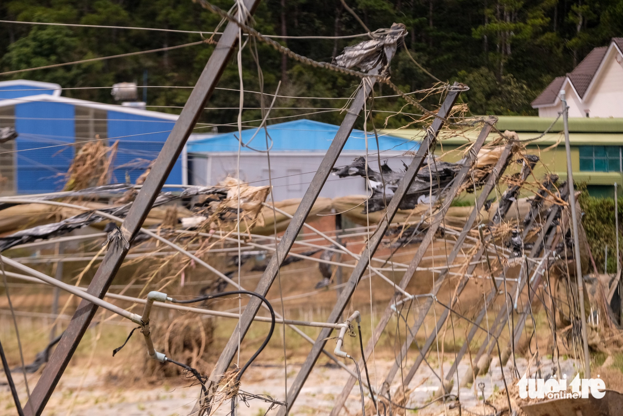 Xót xa hình ảnh vùng rau lớn nhất Lâm Đồng tan hoang sau lũ dữ - Ảnh 7.