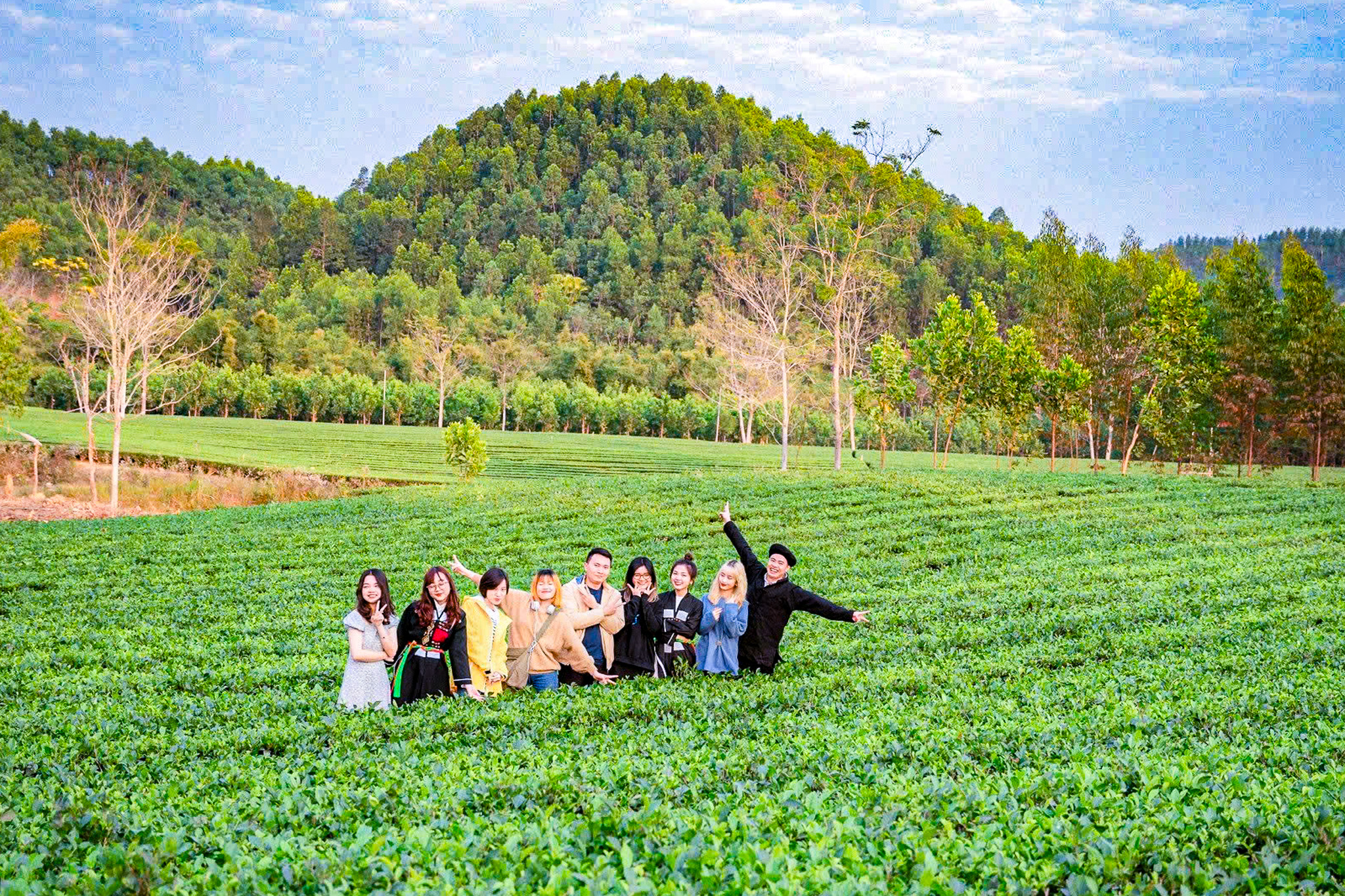 chè xanh - Ảnh 3.