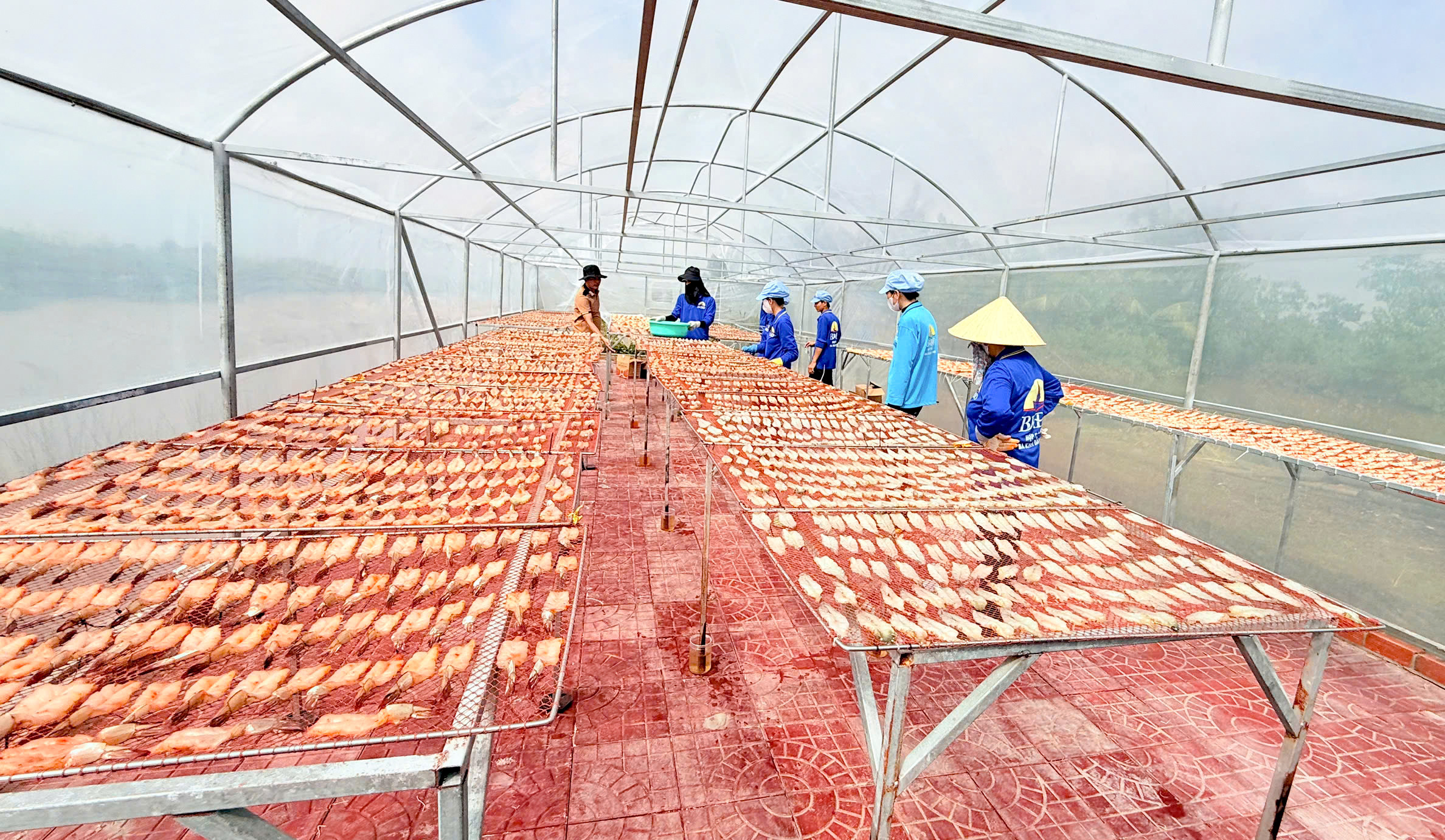 Nỗ lực giữ giá hàng Tết - Ảnh 3.