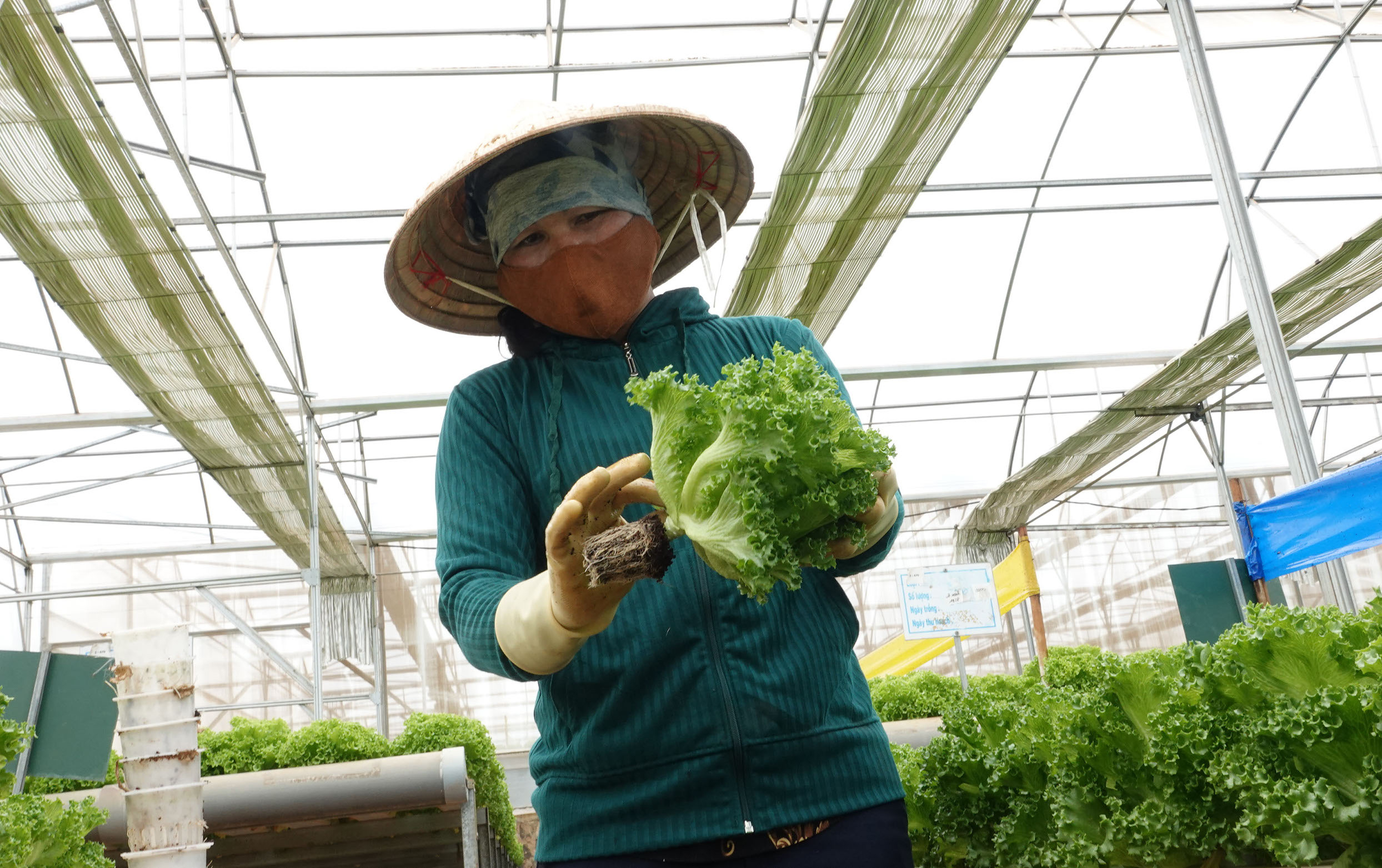 hàng Tết - Ảnh 2.