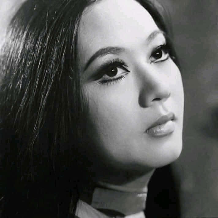 Thanh Nga - Ảnh 4.