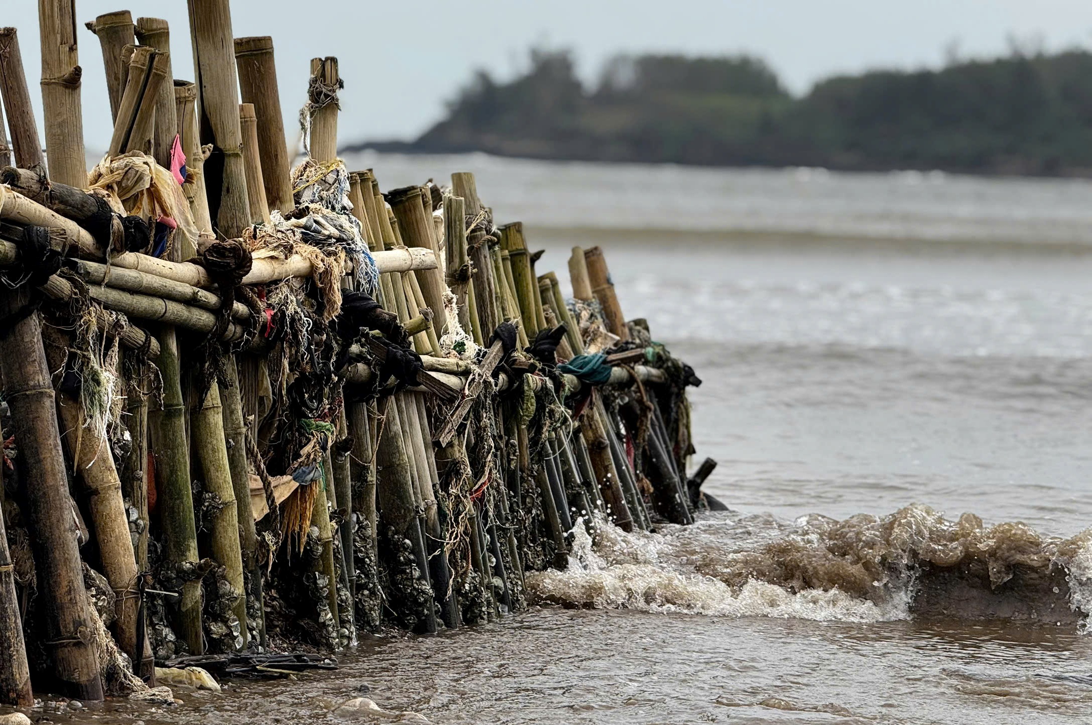 Tự dựng kè cứu nhà, người dân vẫn bất lực trước triều cường dữ dội - Ảnh 1.