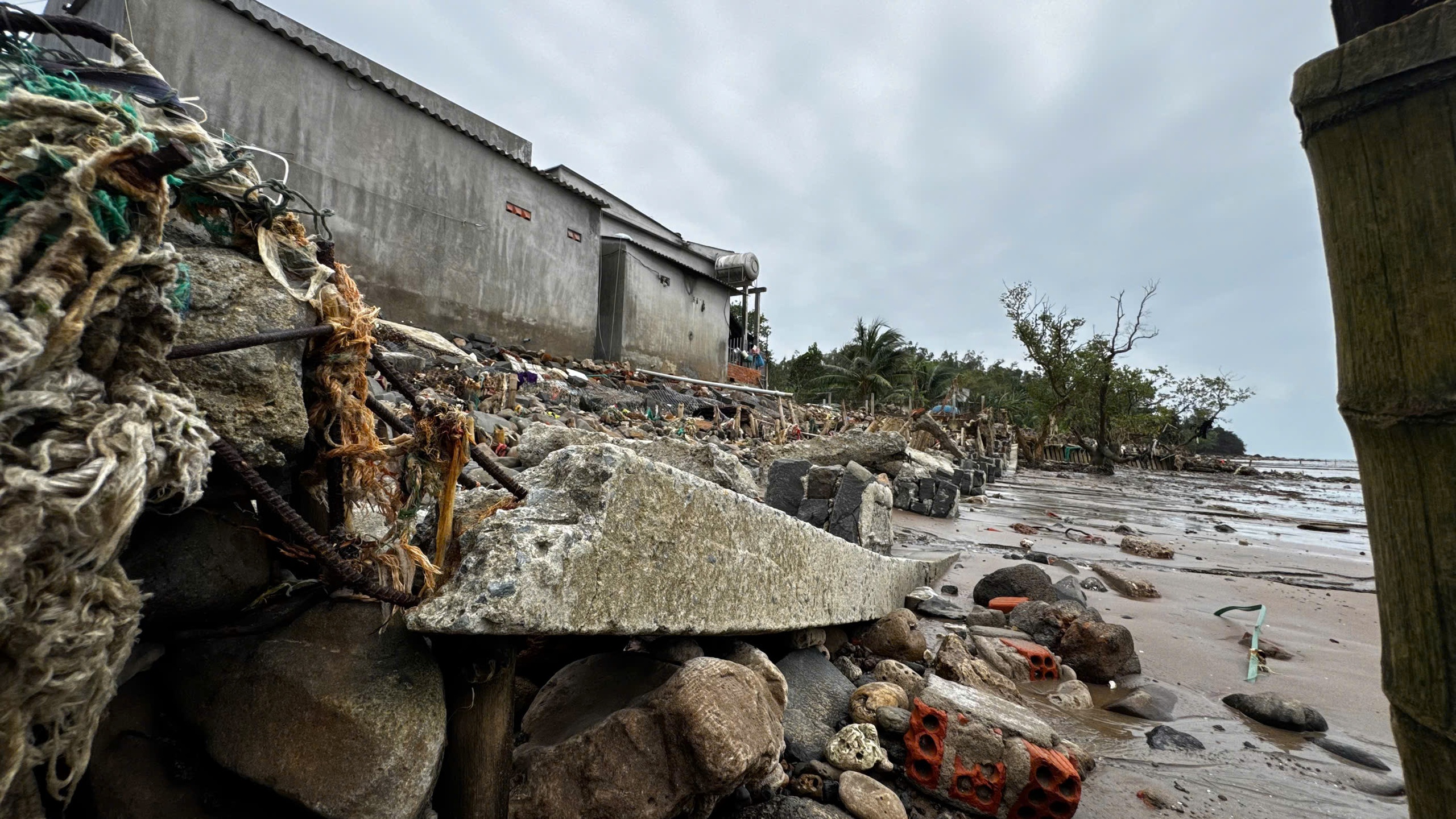 triều cường - Ảnh 3.