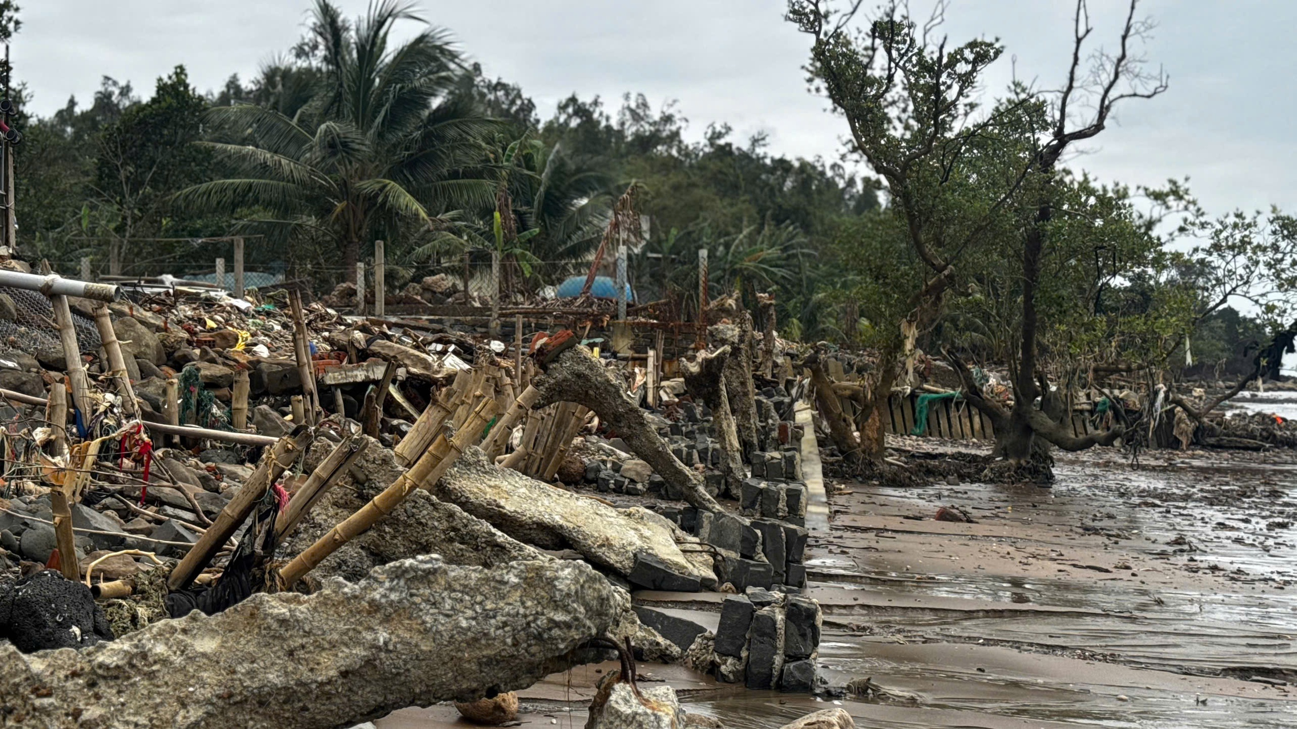 triều cường - Ảnh 10.