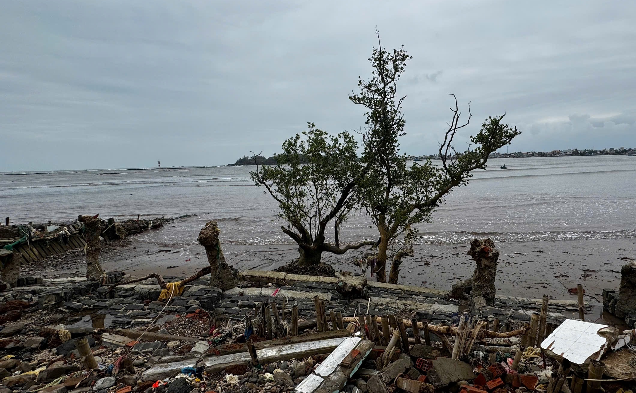 triều cường - Ảnh 4.