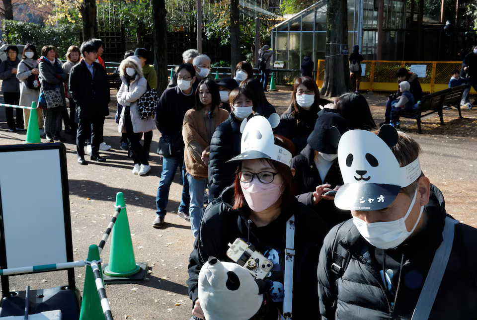 Japan's last 2 giant pandas are headed to China and fans just can't bear it- Ảnh 5. Japan's last 2 giant pandas are headed to China and fans just can't bear it- Ảnh 5.
