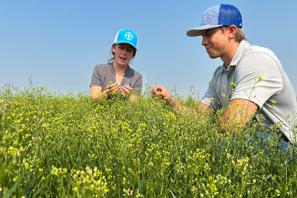 These farmers are producing record crops despite droughts and floods