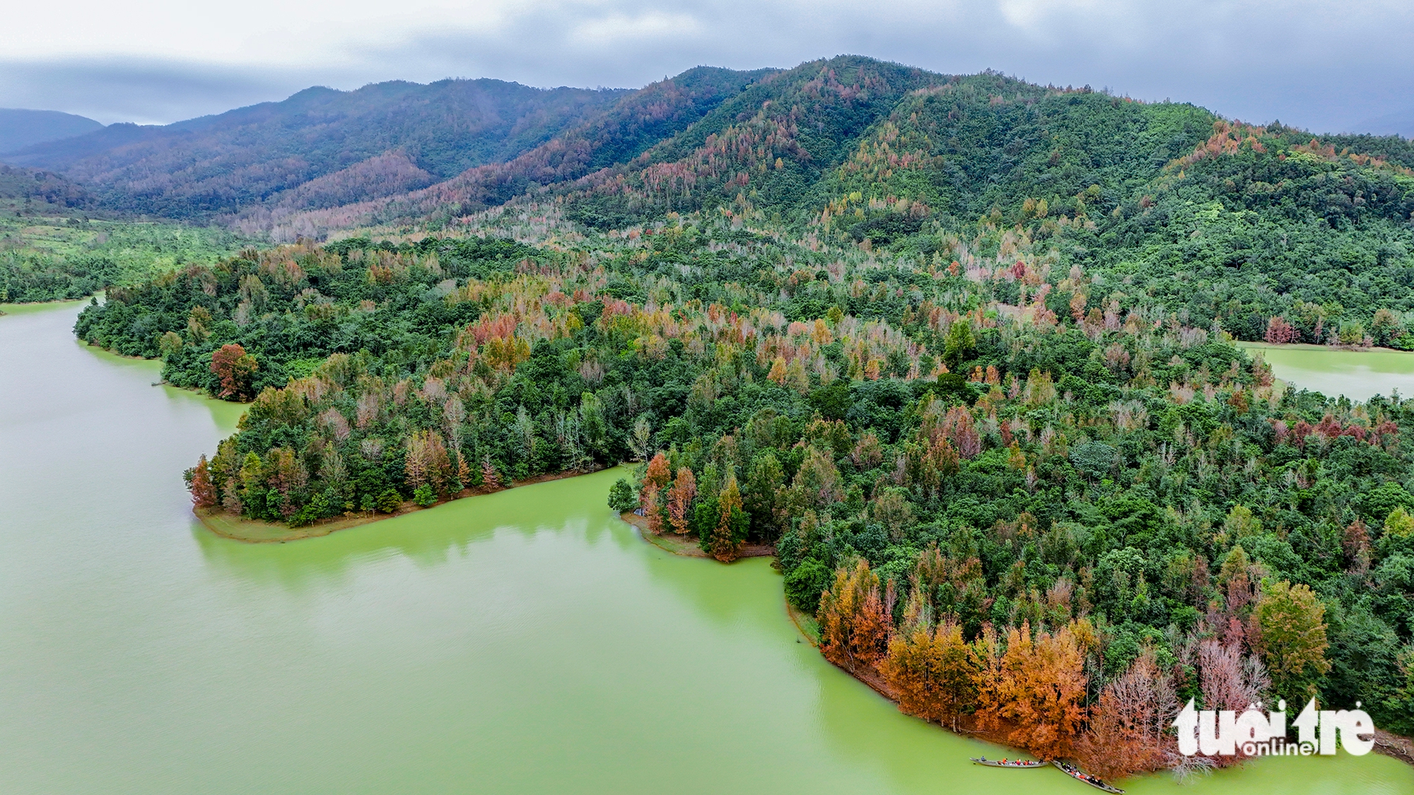 phong hương - Ảnh 2.